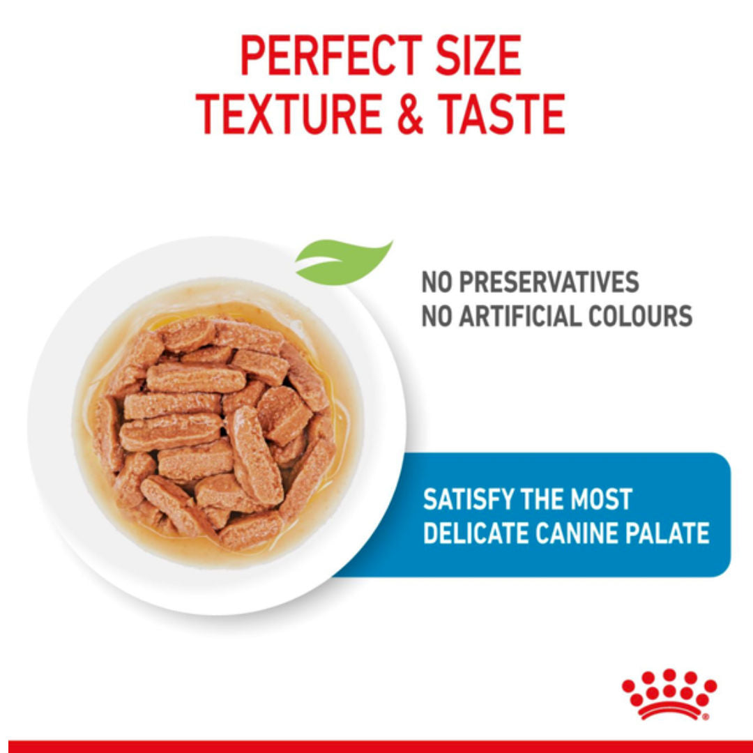 Royal Canin Medium Puppy Wet Dog Food In Gravy, 140gm, Pack of 10