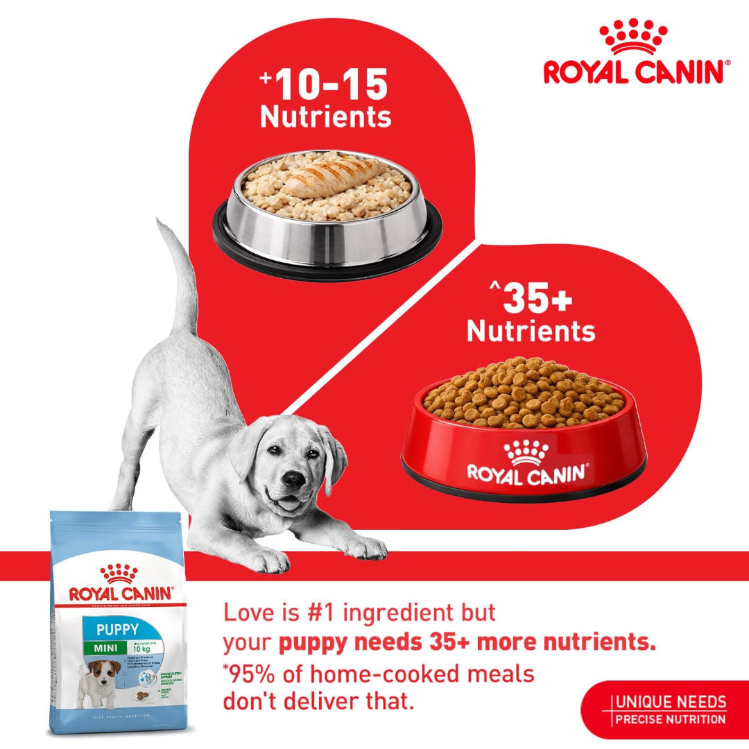 Royal Canin Size Health Nutrition Mini Puppy Dry Dog Food
