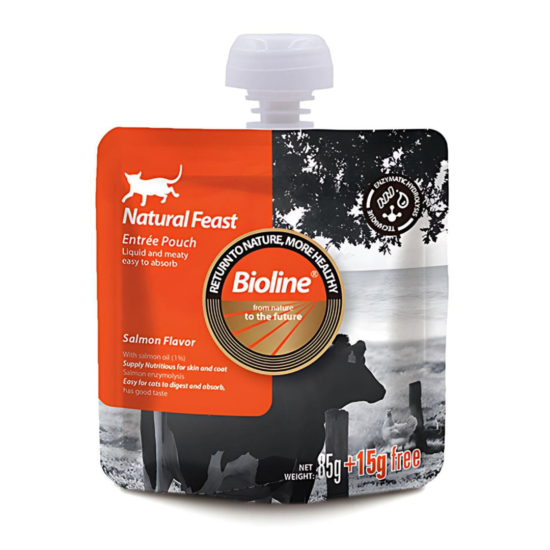 Bioline Natural Feast Entree Pouch, 85gm, Pack Of 2, For Age 3+ Months