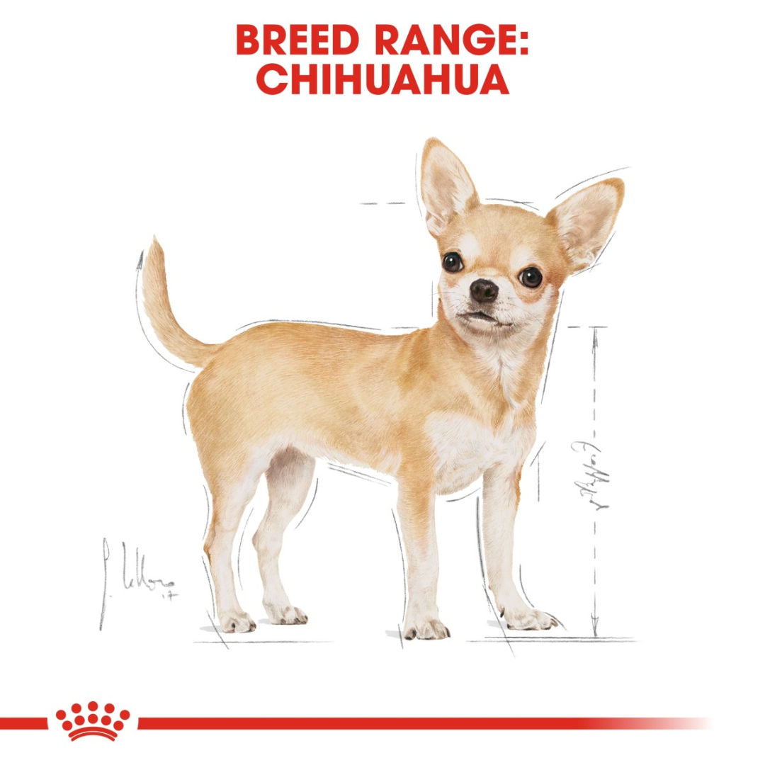 Royal Canin Breed Health Nutrition Chihuahua Adult, 1.5kg