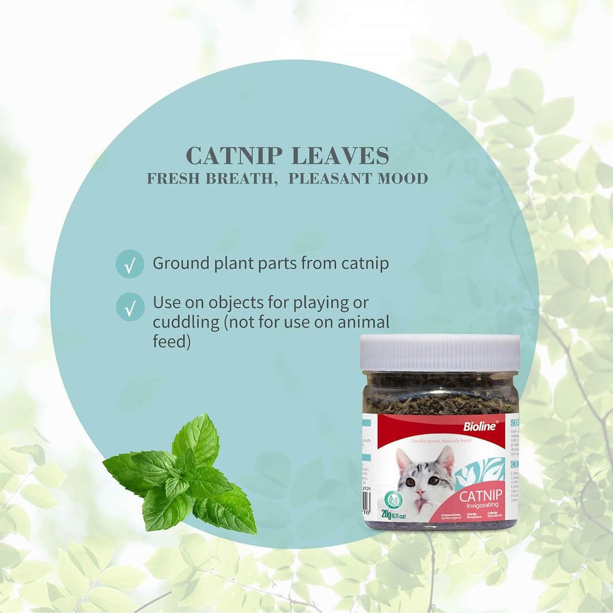 Bioline Invigorating Catnip Leaves Powder, 230ml, Weight 20gm