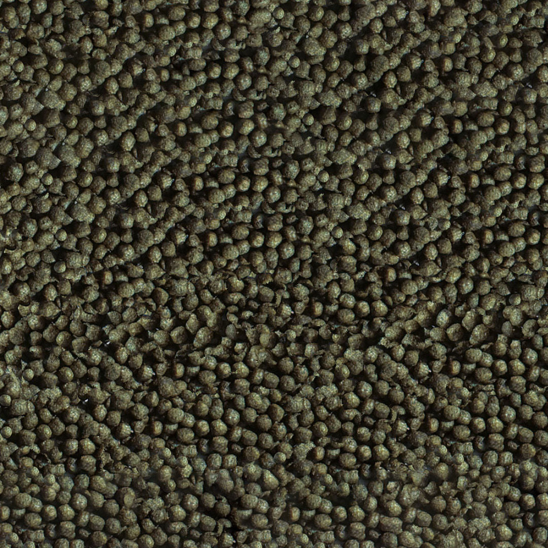 Sera Gold Fish Color Granules Food for Goldfish, 90gm