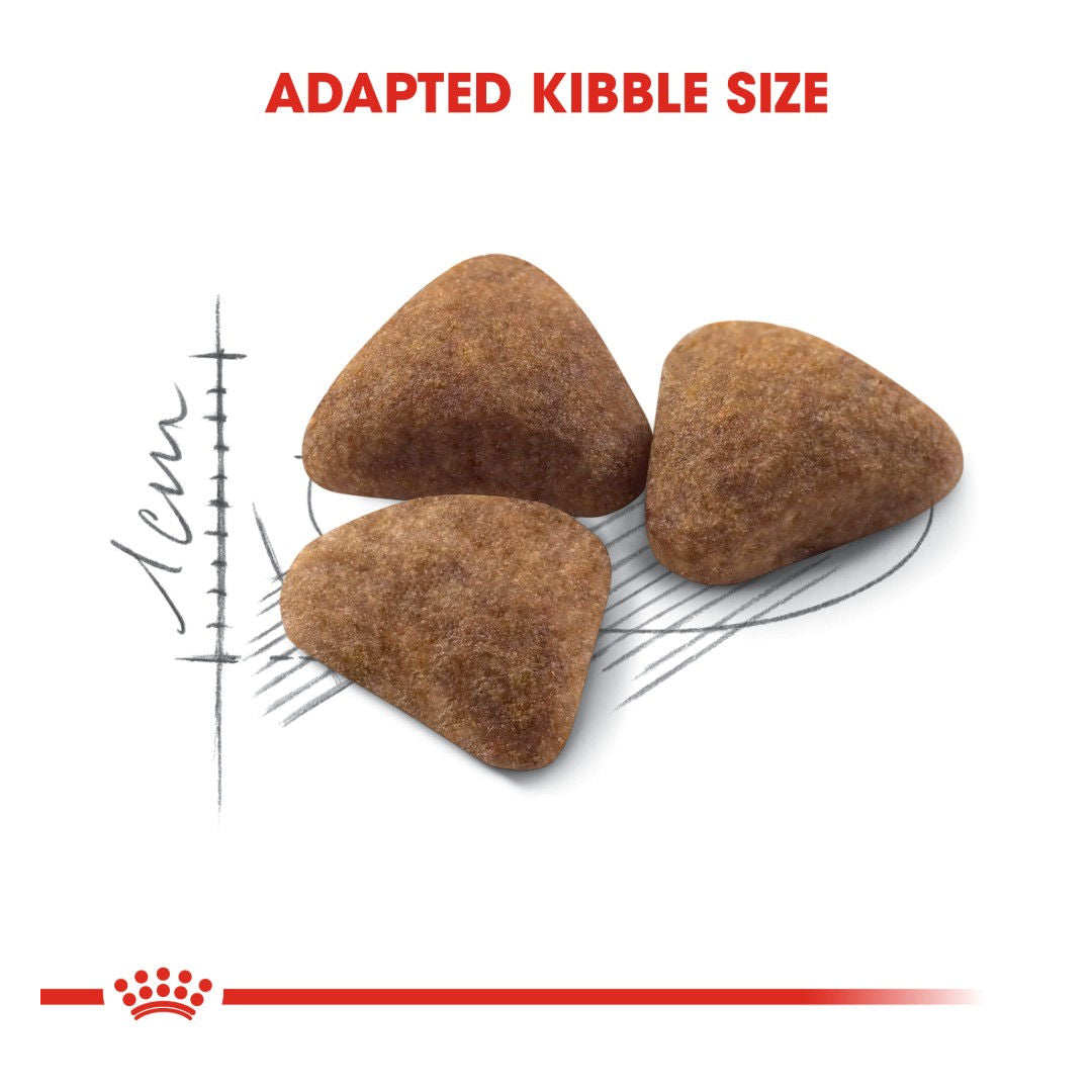 Royal Canin Feline Health Nutrition Indoor