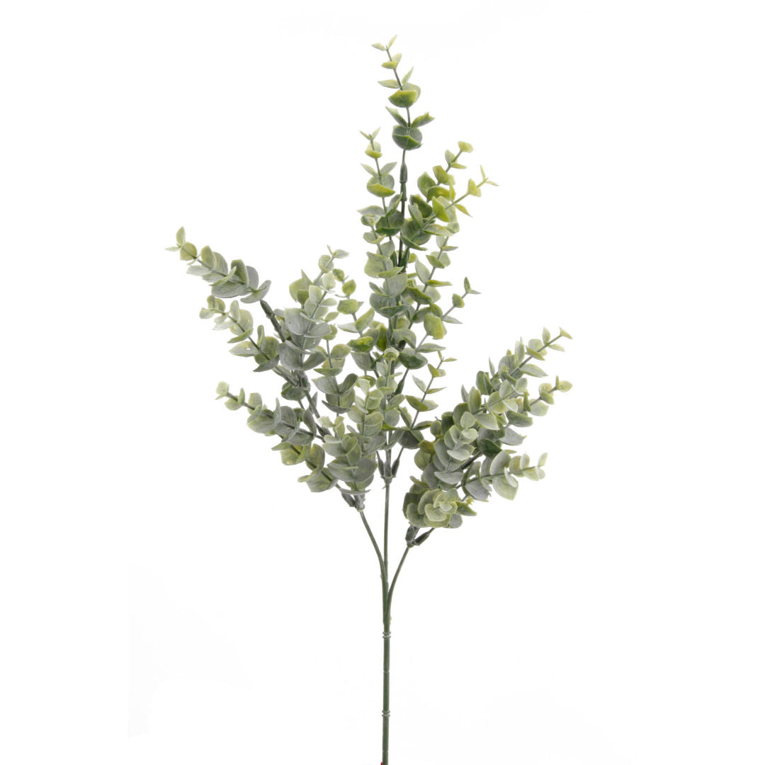 Eucalyptus Bridge Spray X3, 68cm