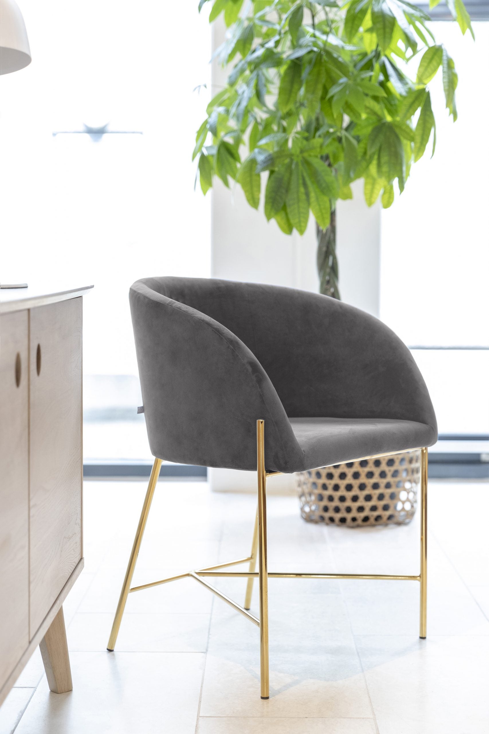 Nelson Contemporary Armchair, Dark Grey Finish