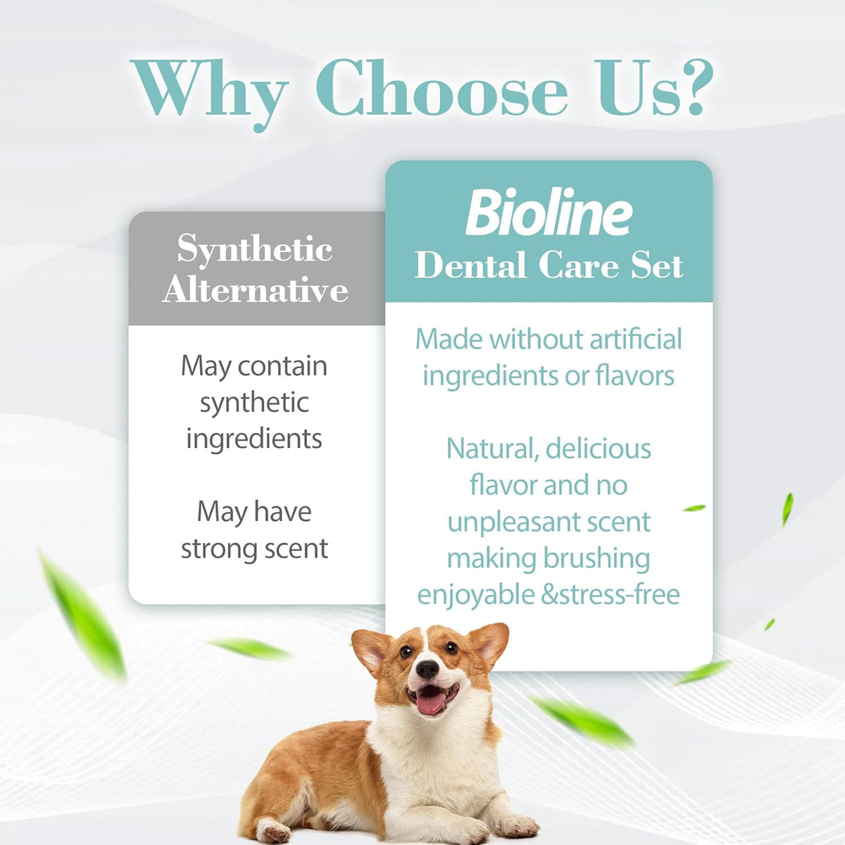 Bioline Dental Care Set, Weight 100gm, Flavor Mint