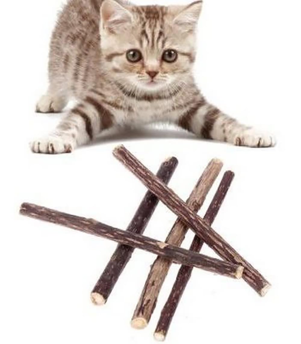 Bioline Catnip Dental Sticks, 10gm