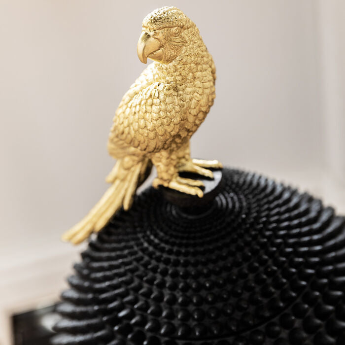Deco Box Parrot Black Jar with Gold Parrot Handle
