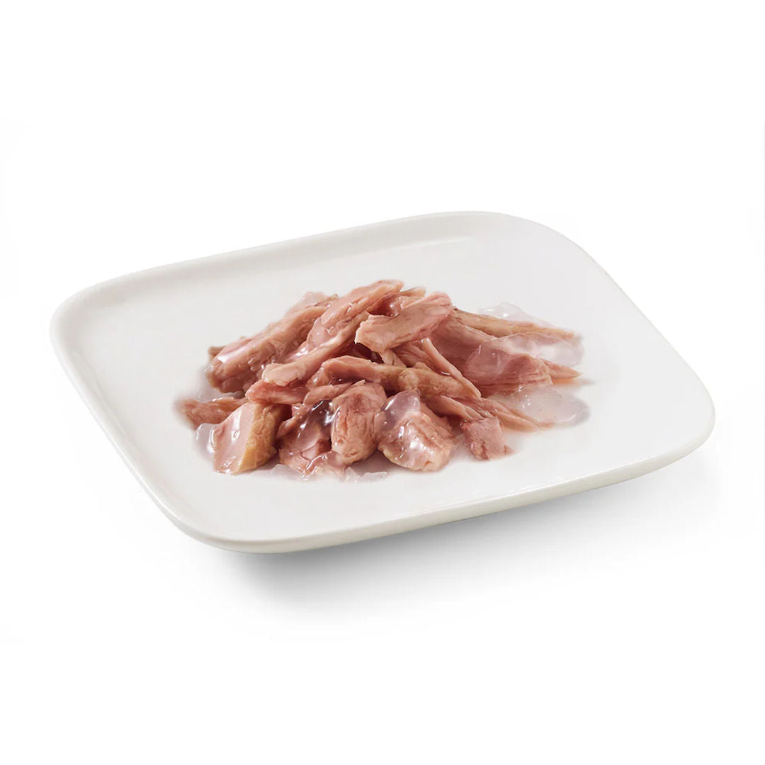 Schesir Dog Wet Food in Jelly Can, 150g